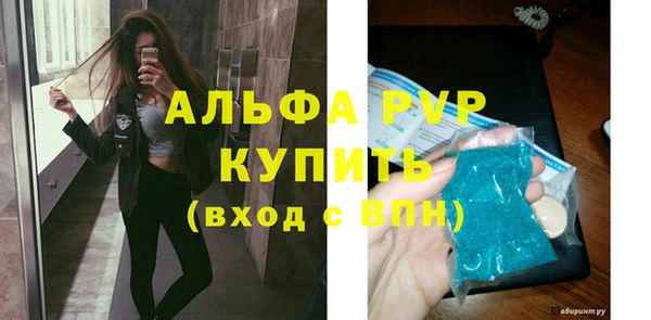 гашик Касимов