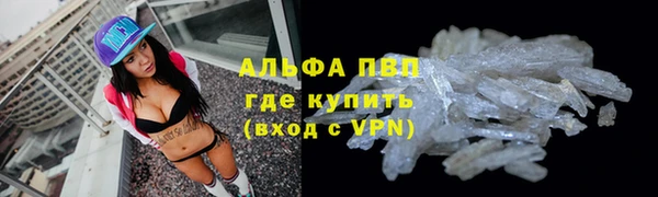 гашик Касимов