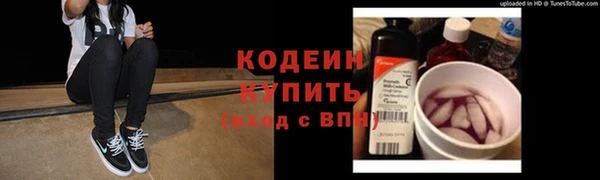 гашик Касимов