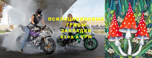 гашик Касимов