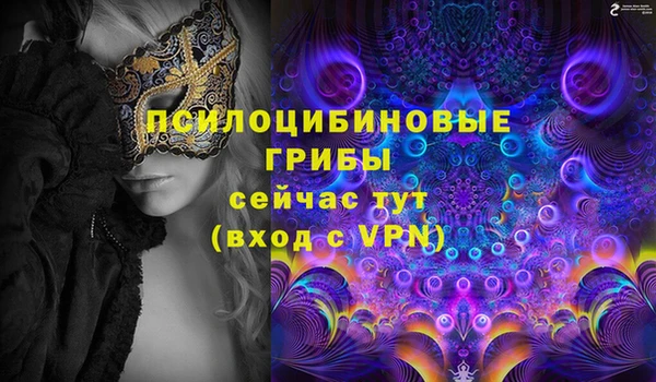 гашик Касимов