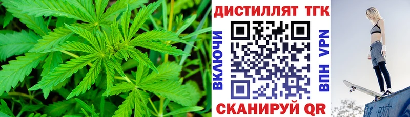 кракен сайт  Елизаветинская  мориарти официальный сайт  Дистиллят ТГК концентрат 