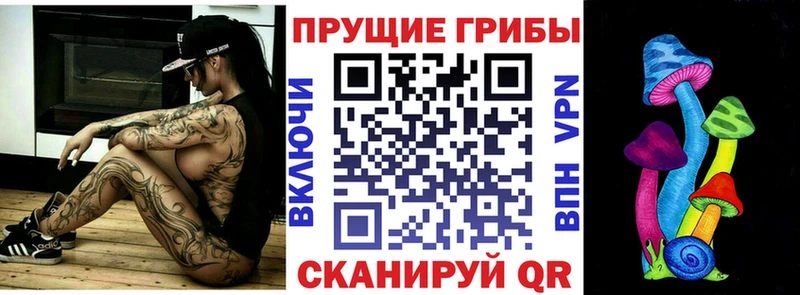 Галлюциногенные грибы Psilocybe  наркотики  Елизаветинская 